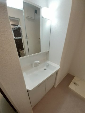 ロータスの洗面所