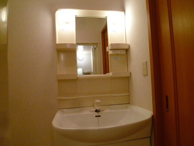 チューリップアベニューⅤの洗面所