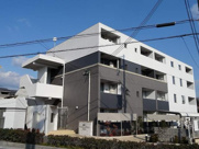 グランデ　アルベロの画像