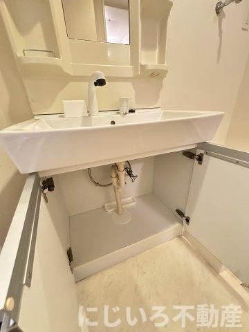 カネイコート日開野Ⅱの洗面所