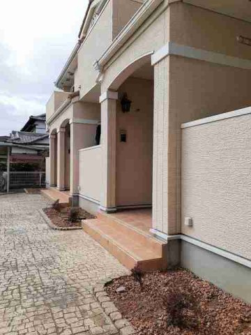 サンフラワーのその他