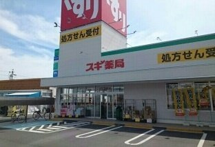 サンフラワーの周辺|スギ薬局様まで1400m