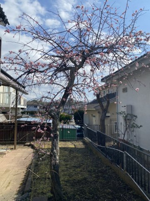 【その他】 | 八幡台5丁目戸建