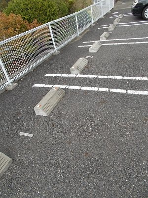 フェニックス大日向の駐車場