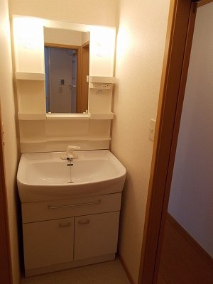 フェニックス大日向の洗面所