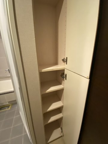 ミッドガーデン赤坂氷川の収納|小物を収納するのに便利です