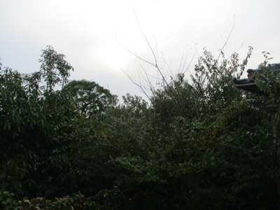 【展望】 | マンション波寄