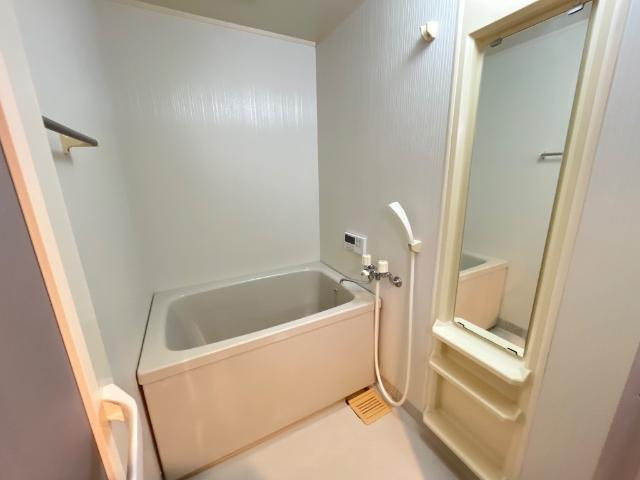 グランデール　フジミ　　刈谷市近郊の賃貸ならクラスホーム刈谷店の浴室|バス