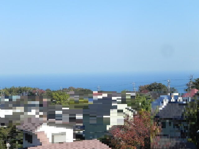 大室高原別荘地(シャボテン)の展望
