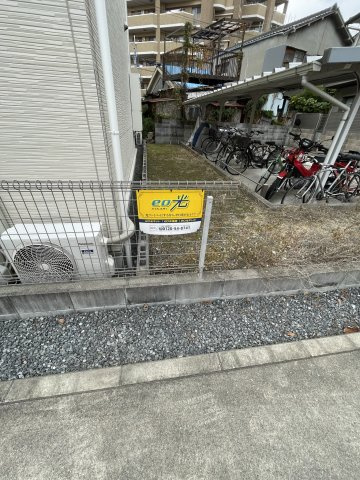 アザレアのその他