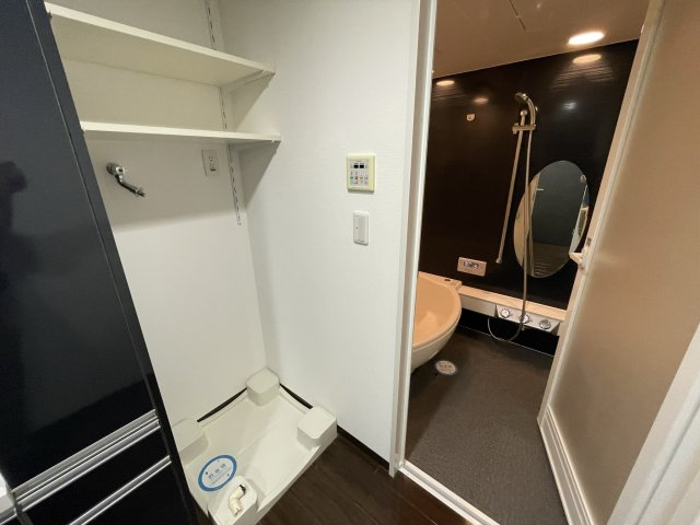 アステリオ北堀江 ザ・メトロタワーの洗面所|イメージとして同建物他部屋を表示しています