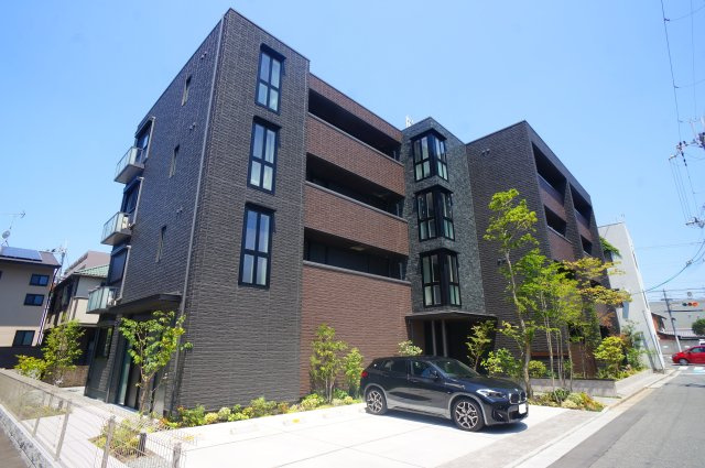 Ｓｈａｍａｉｓｏｎ　Ｐｒｅｍｉｅｒ　ＣＹＰＲＥＳＳ