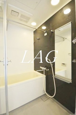 【浴室】 | ラグジュアリーアパートメント白金 | お風呂です。