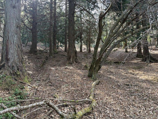 【外観】 | 東急天城高原別荘地　売地