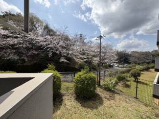 【展望】 | 左近山団地6街区 | リビング側バルコニーからの展望になります。
目の前には桜の木がございます。