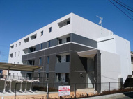 コロネーション御所見の画像