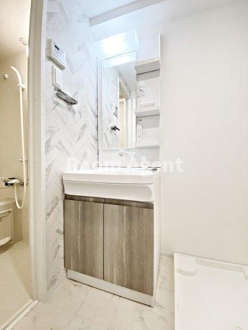 S-RESIDENCE堀田NorthⅡの洗面所