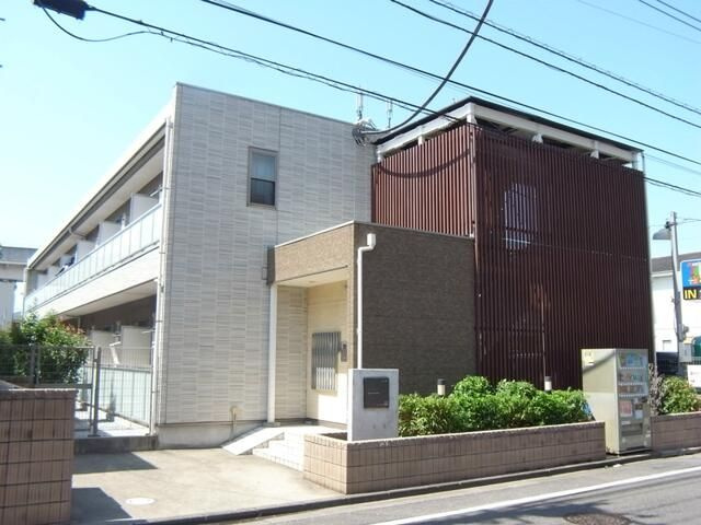 リブリ・スターフラワー