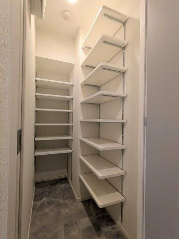 ハーモニーレジデンスグローバルキャピタルの玄関|シューズクローゼット