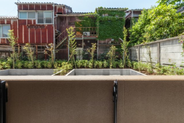 ディオスプラドの展望