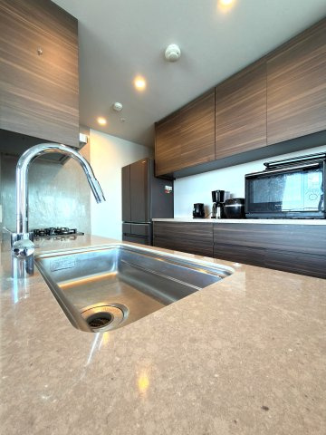 パークシティ武蔵小山 ザ・タワーの設備|キッチン(浄水器)