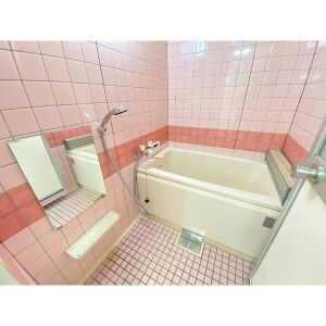 パレス第3守山の浴室