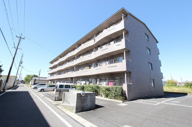 サンシャインイトウ