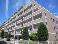 メリヤス岡場の画像