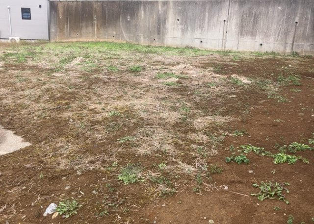 【外観】 | 土地を買う際、住む地域の自治体や福祉の補助制度にも注目してみましょう。子供や老人の医療補助やゴミ出しのルールなど、自治体によってルールに大きな違いがあるため、暮らしやすい土地で判断するとよいでしょう。