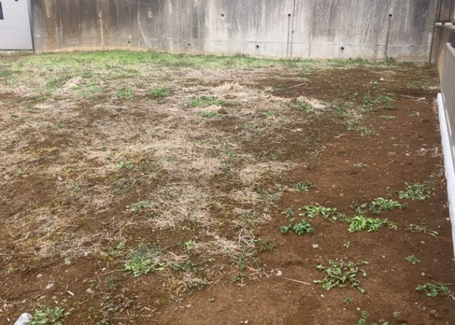 【外観】 | 現地に行くなら、物件の周囲の地形がどうなっているかを見ることも大切です。周辺より低くなっている土地では、大雨などで水が集まりやすいため、地盤が弱くなっているということも考えられるため、注意が必要です。