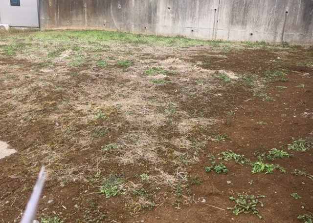 【外観】 | 家を建てる前提で土地を探している場合、地盤の丈夫さは譲れない条件の一つです。地盤が脆弱だと追加工事が必要となります。また、過去に地盤沈下や液状化現象を起こした土地は、できるだけ避けた方がいいでしょう。