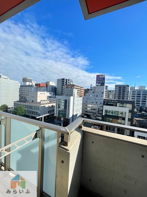 【展望】 | C.P.Pure1608