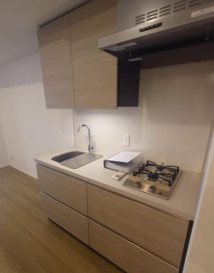 ザ・パークハビオ神楽坂レジデンスＳｏｕｔｈのキッチン|※別室参考写真です。