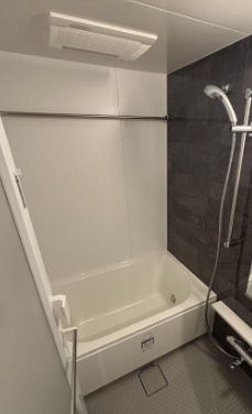 ザ・パークハビオ神楽坂レジデンスＳｏｕｔｈの浴室