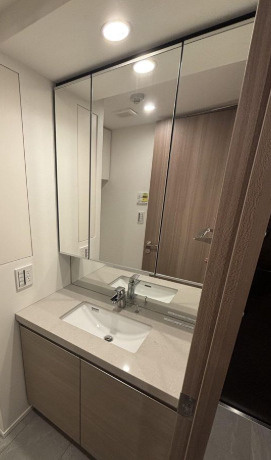 ザ・パークハビオ神楽坂レジデンスＳｏｕｔｈの洗面所|※別室参考写真です。