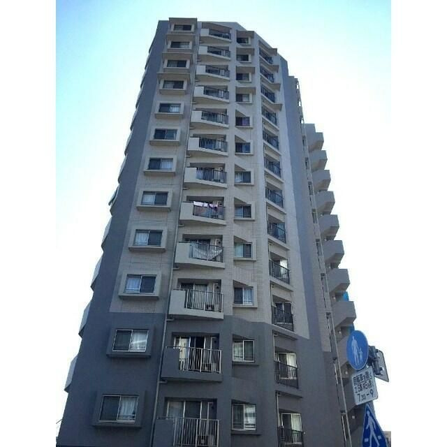 グランカーサシンコイワ