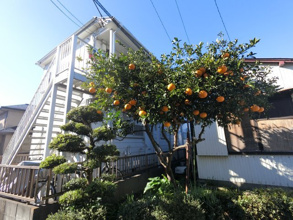 【エントランス】 | 石橋ハイツ