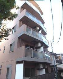 ルピナス　ヤマジ