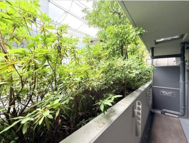 ※別部屋参考写真