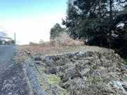 成竹売地の画像