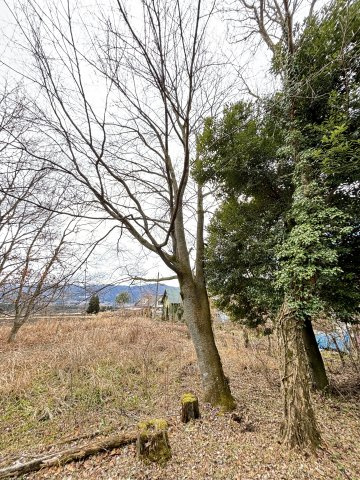 【その他】 | 阿蘇郡高森町色見