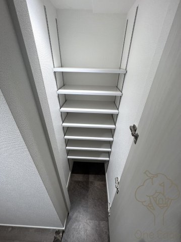 レオンコンフォート十三の玄関