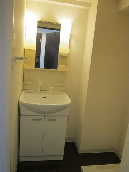 マ・メゾン瑞穂の洗面所