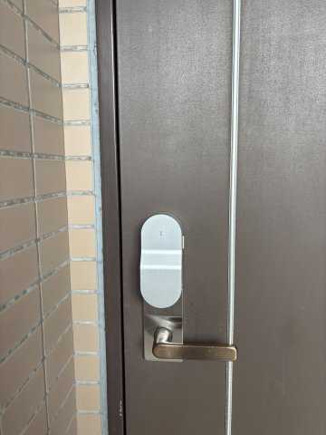 フレア日光のその他