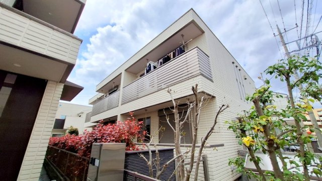 Ｓｔｅｌｌａ　Ｃｏｕｒｔ