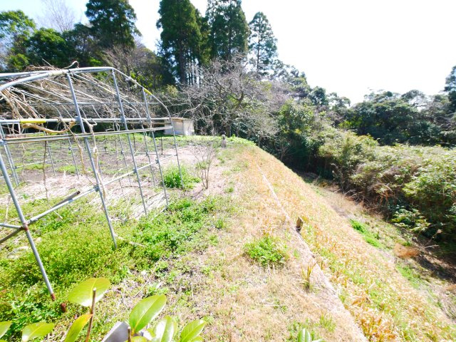 大網白里市金谷郷　和風中古戸建の庭|敷地約378坪 7SDK和風住宅　和室続間 家庭菜園可能です　果樹園付 2階からの眺望がいいです