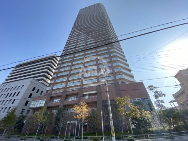 阿波座ライズタワーズフラッグ46　ＯＭＰタワーの外観|阿波座ライズタワーフラッグ46　眺望