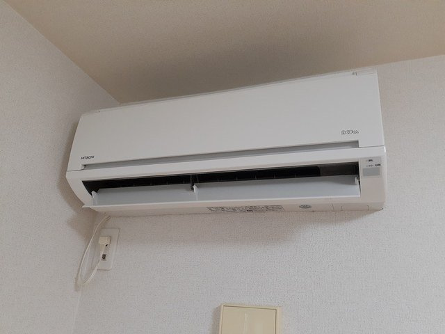 シャインローズのその他