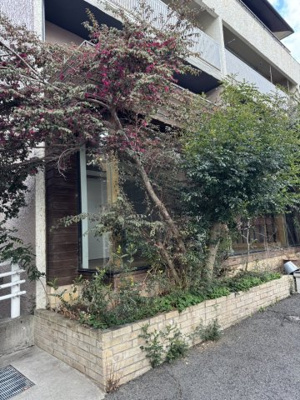 【庭】 | 清山荘