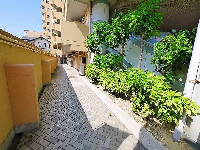 ふぁみ～ゆ筒井のその他|共用部です